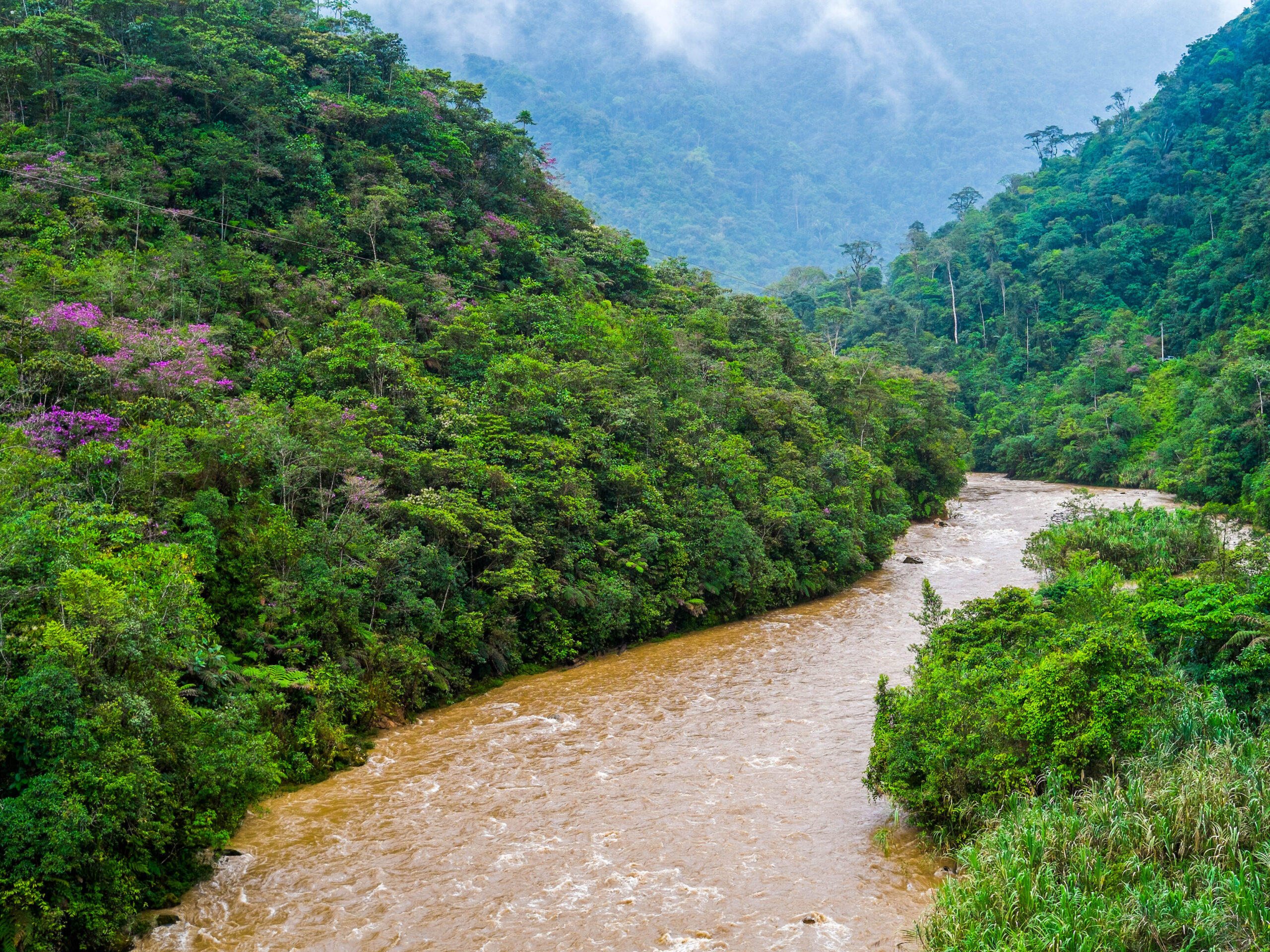 Podocarpus National Park in Ecuador