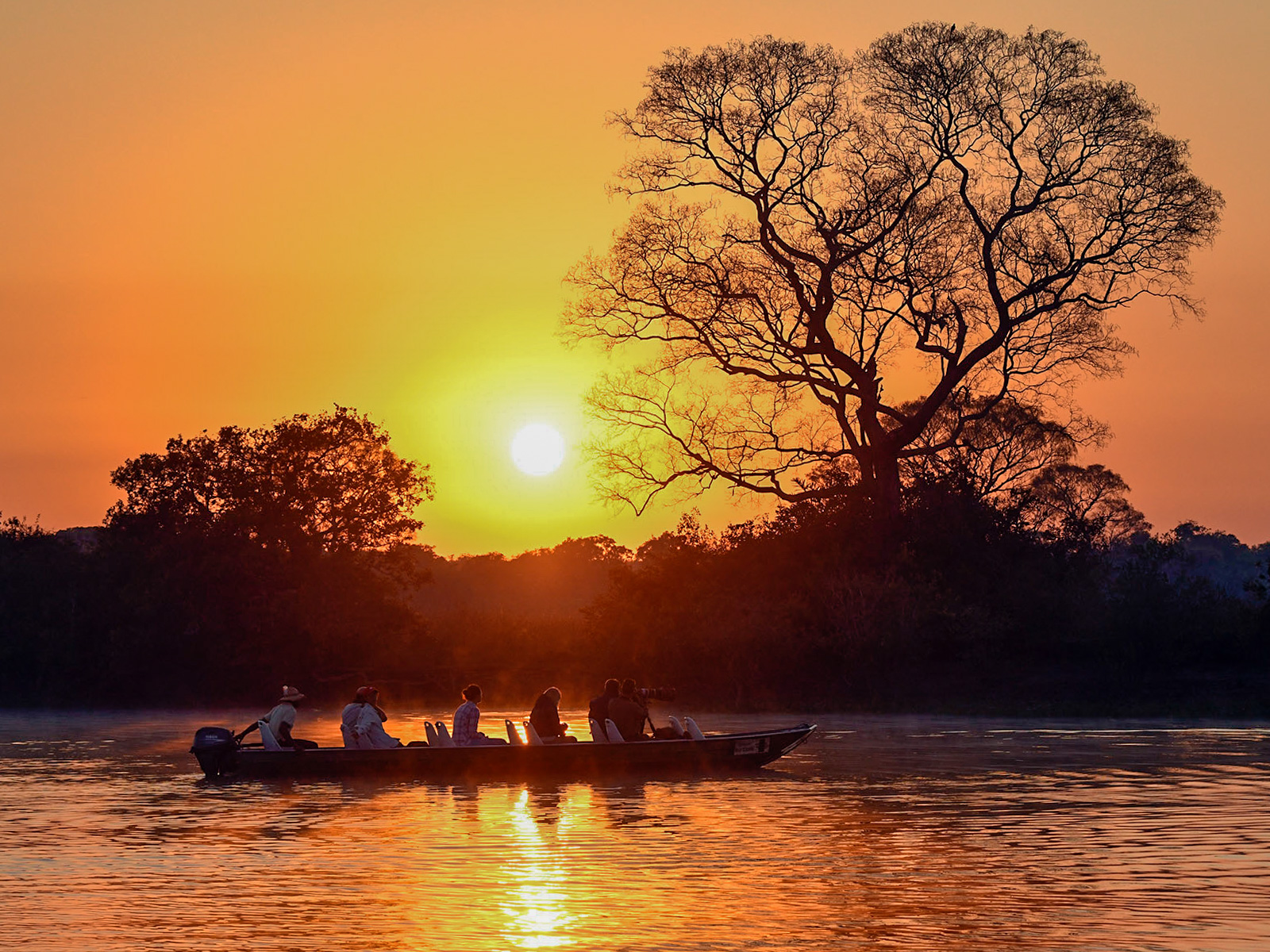 Rio Claro sunset during a boat safari