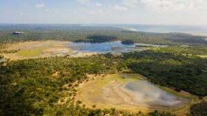 Kumana National park from the sky