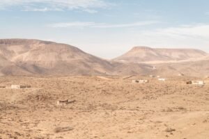Reptile habitat from Southern Morocco